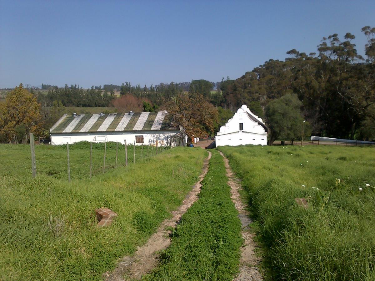 Oude Wellington Estate Ξενοδοχείο Εξωτερικό φωτογραφία