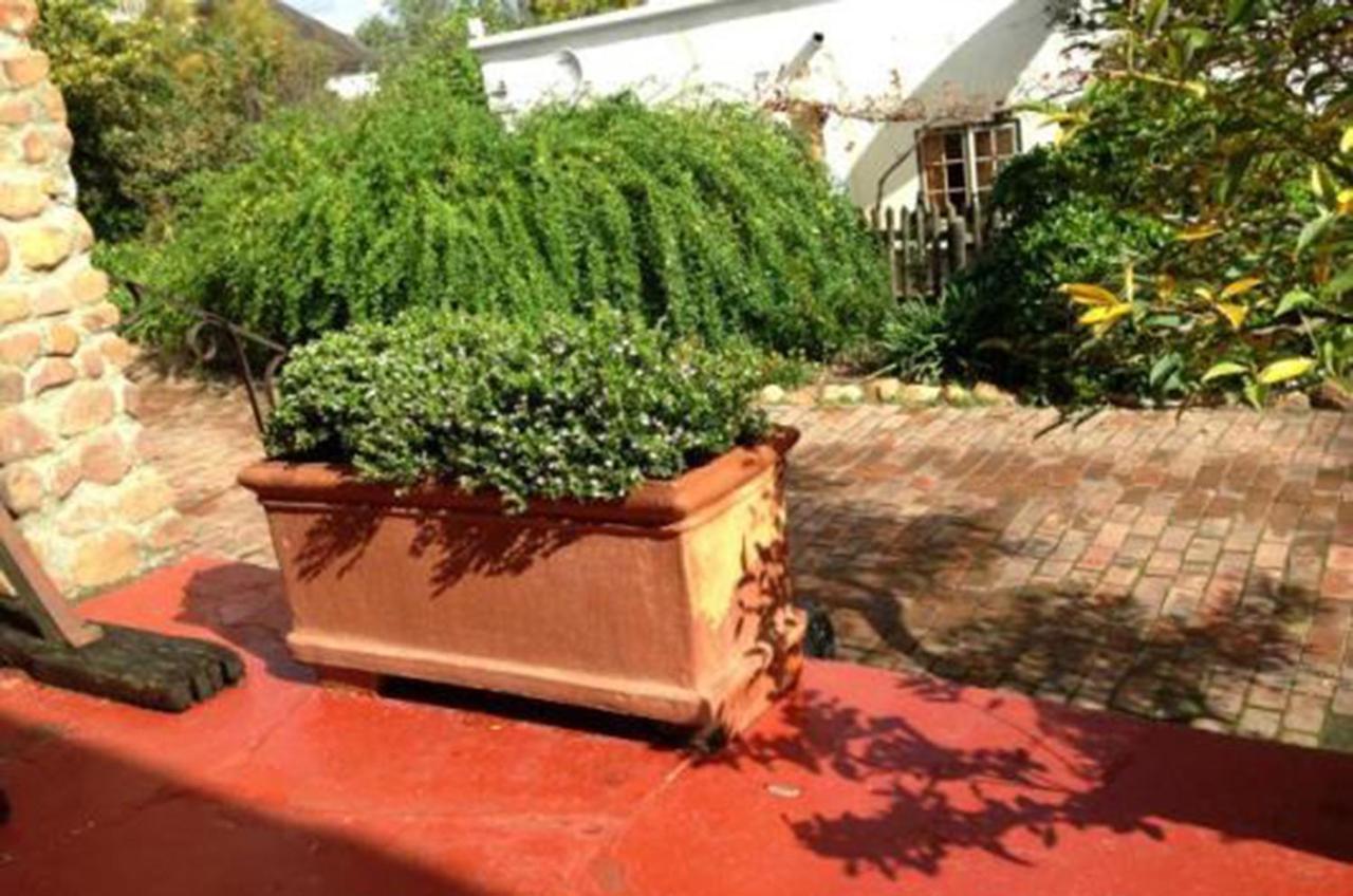 Oude Wellington Estate Ξενοδοχείο Εξωτερικό φωτογραφία